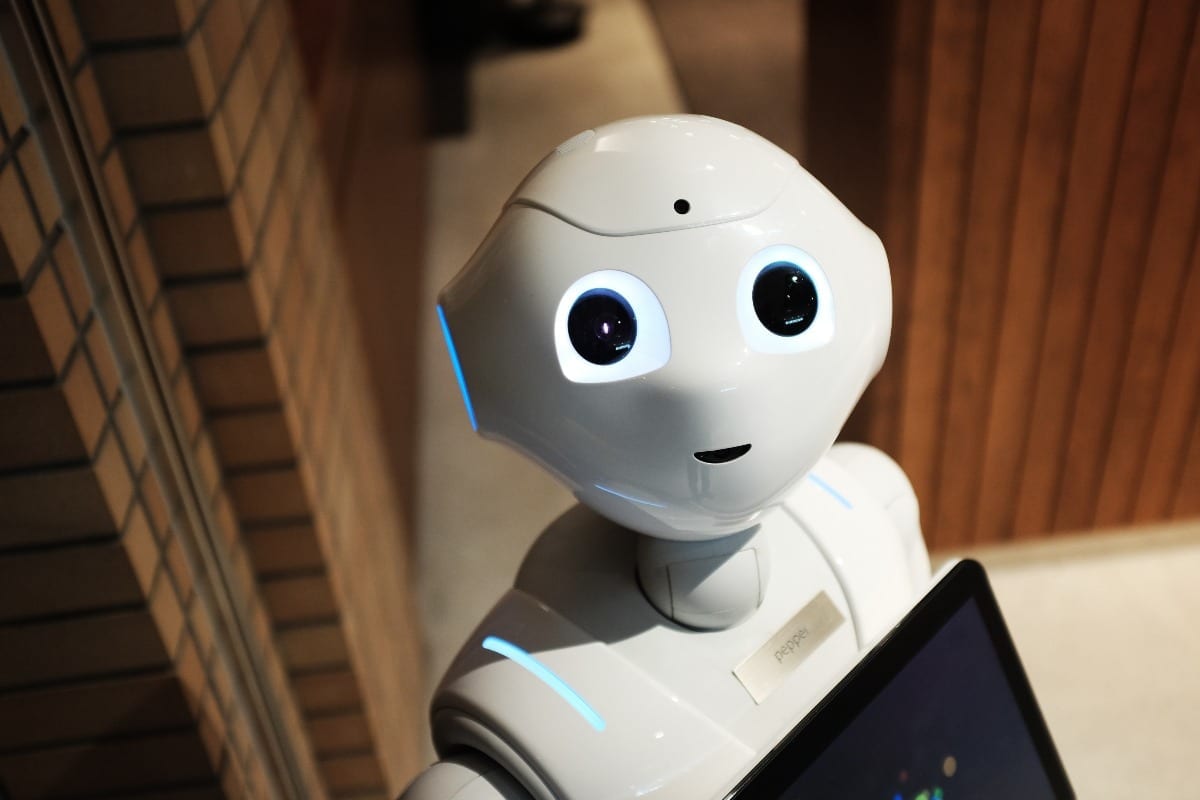 chatbot - bot