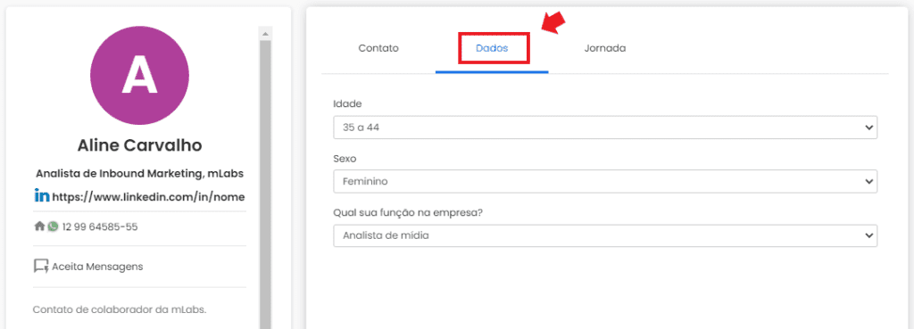 mlabs pages: imagem da tela de contato indicando onde se localiza a aba Dados