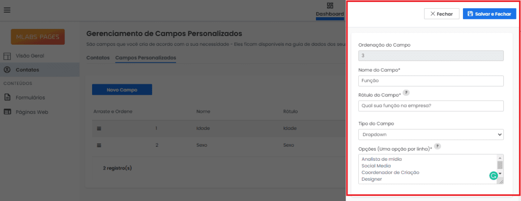 mlabs pages: imagem da tela de gerenciamento de campo personalizado